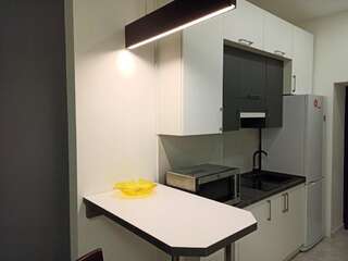 Апартаменты Nice place in old Town Gavrishkevicha 5st. Львов Апартаменты с 1 спальней-34